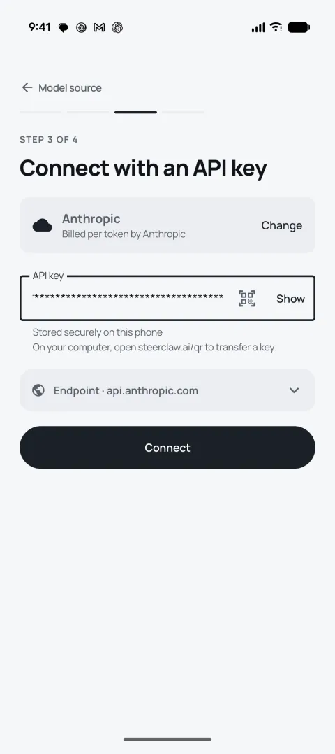 During setup: Connect with an API key for Anthropic, with a key entered